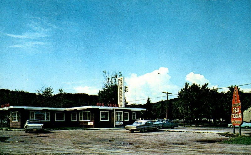 The Red Cedar - Vintage Postcard (newer photo)